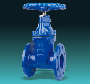 Resilient Seated Gate Valves