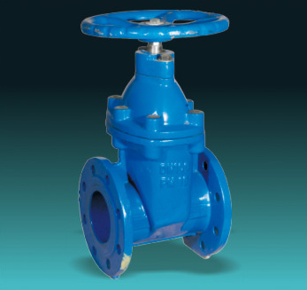 Resilient Seated Gate Valves