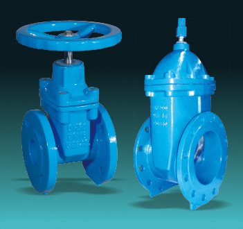 Resilient Seated Gate Valves