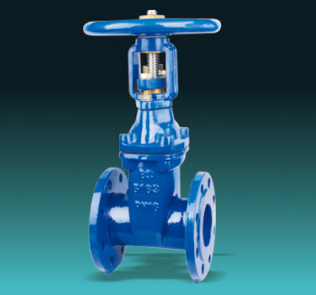 Resilient Seated Gate Valves