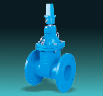 Resilient Seated Gate Valves