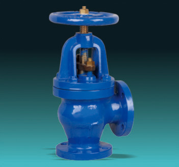 Globe Valve