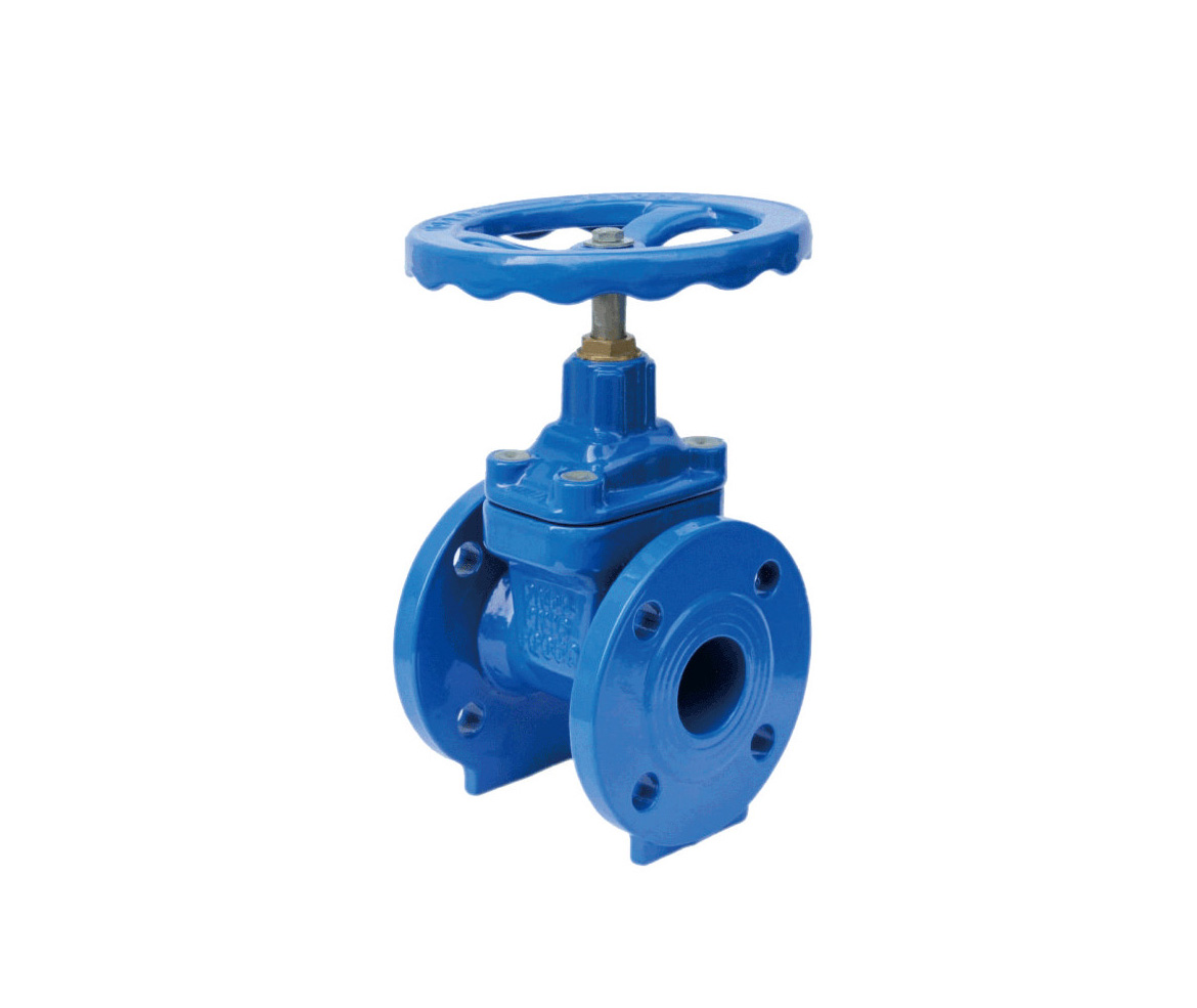 Resilient Seated Gate Valves