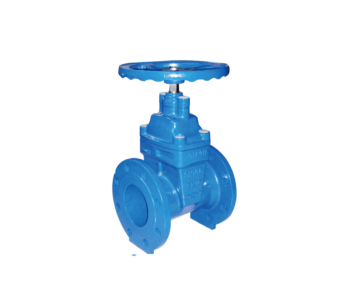 Resilient Seated Gate Valves