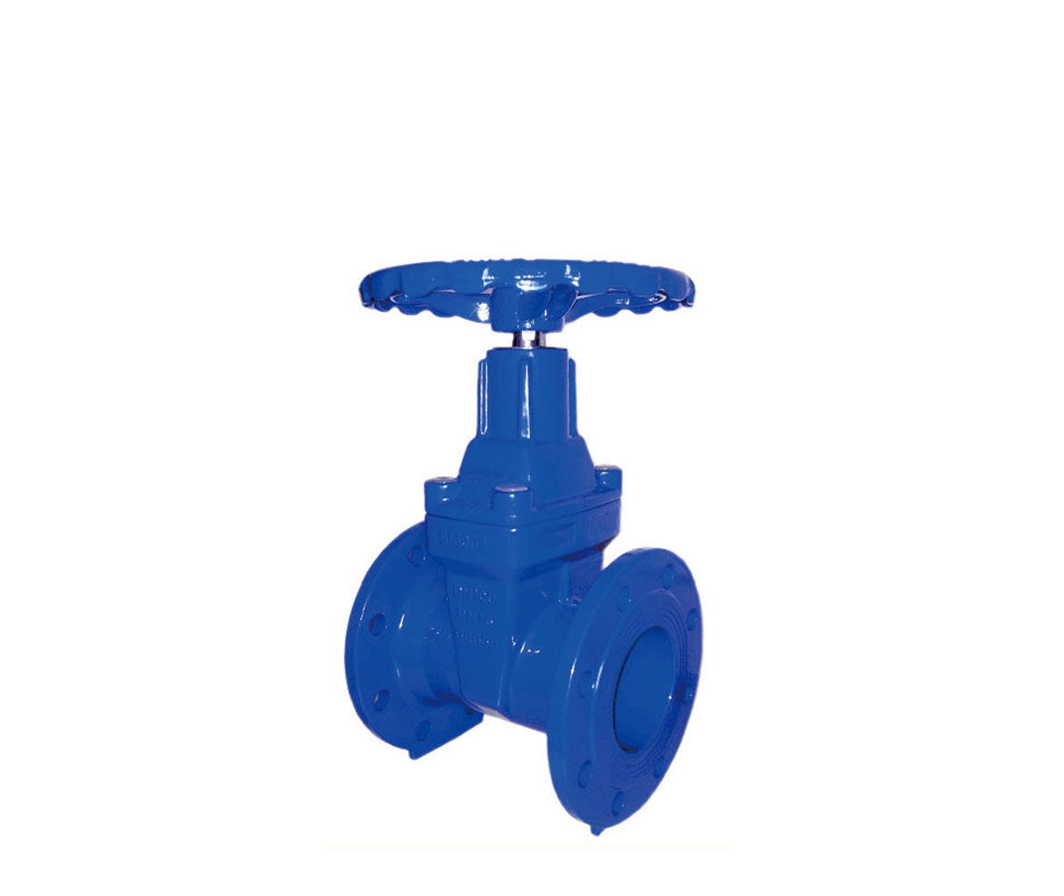 Resilient Seated Gate Valves