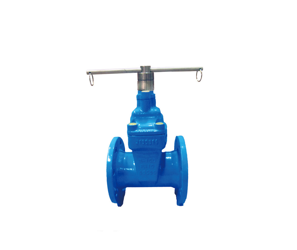 Resilient Seated Gate Valves