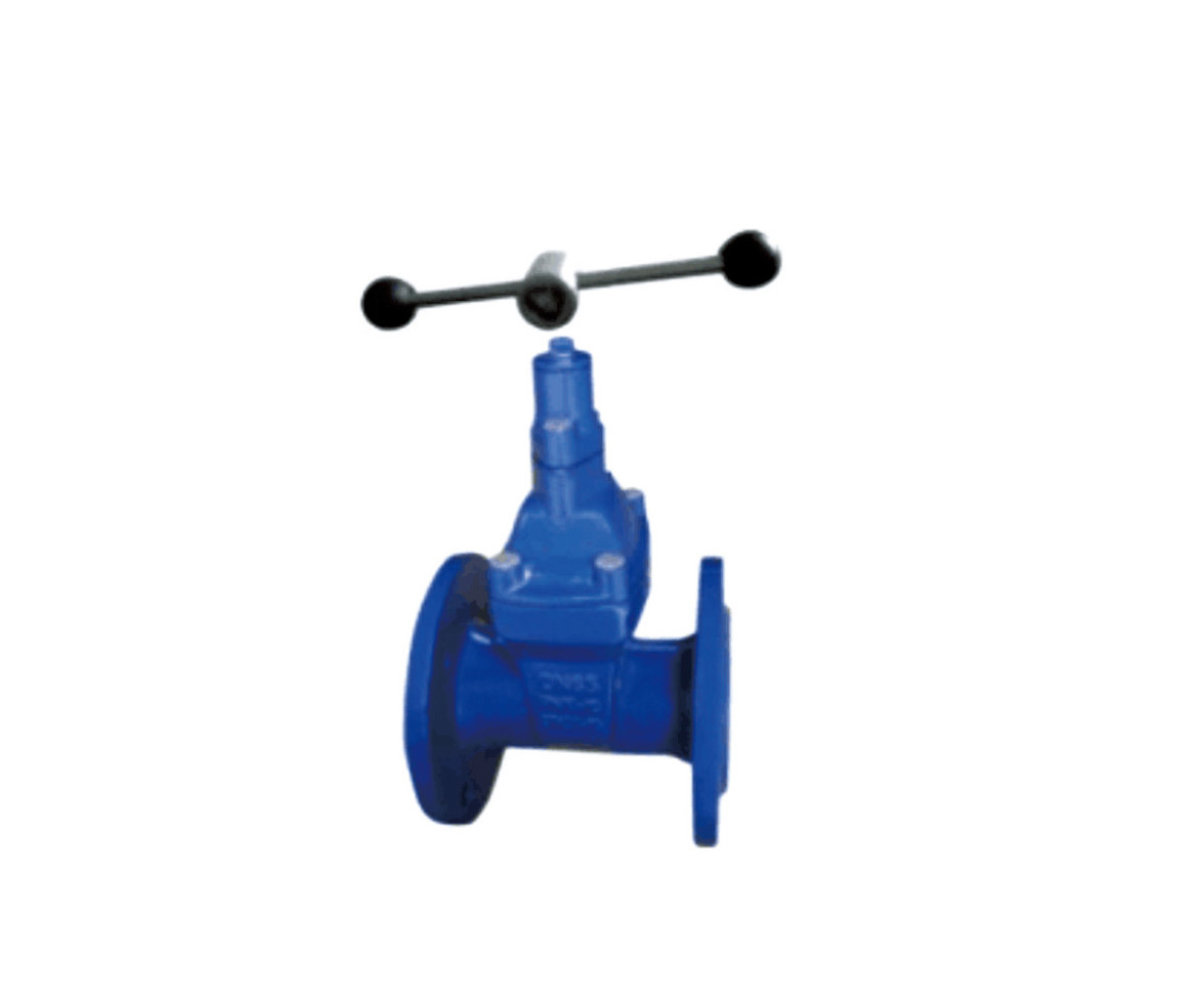 Resilient Seated Gate Valves