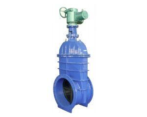 Resilient Seated Gate Valves