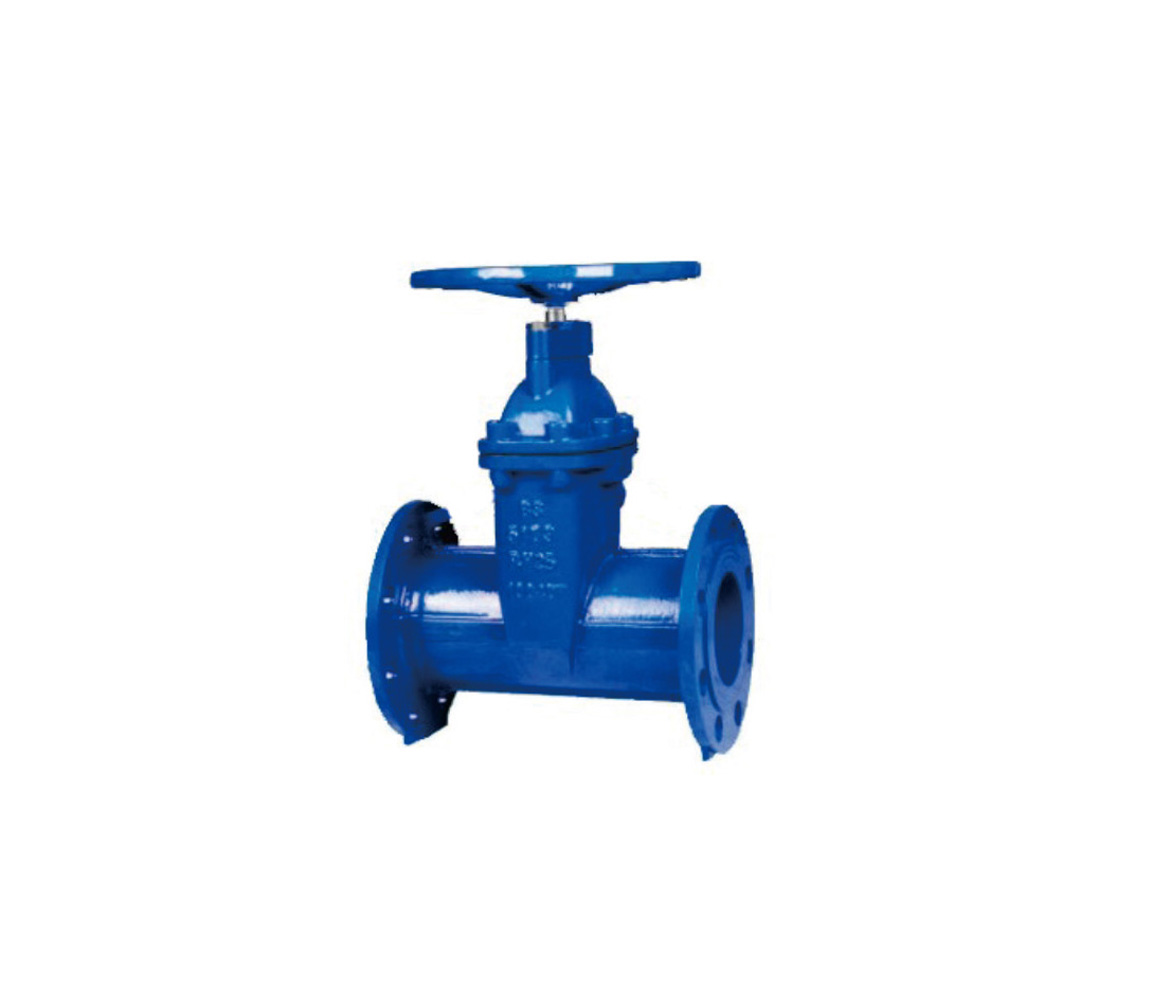 Resilient Seated Gate Valves