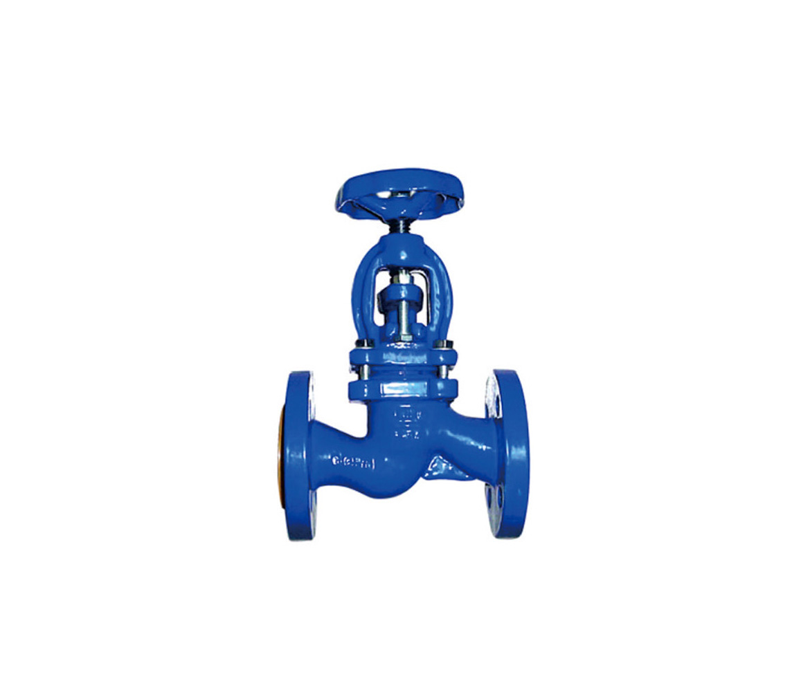 Globe Valve