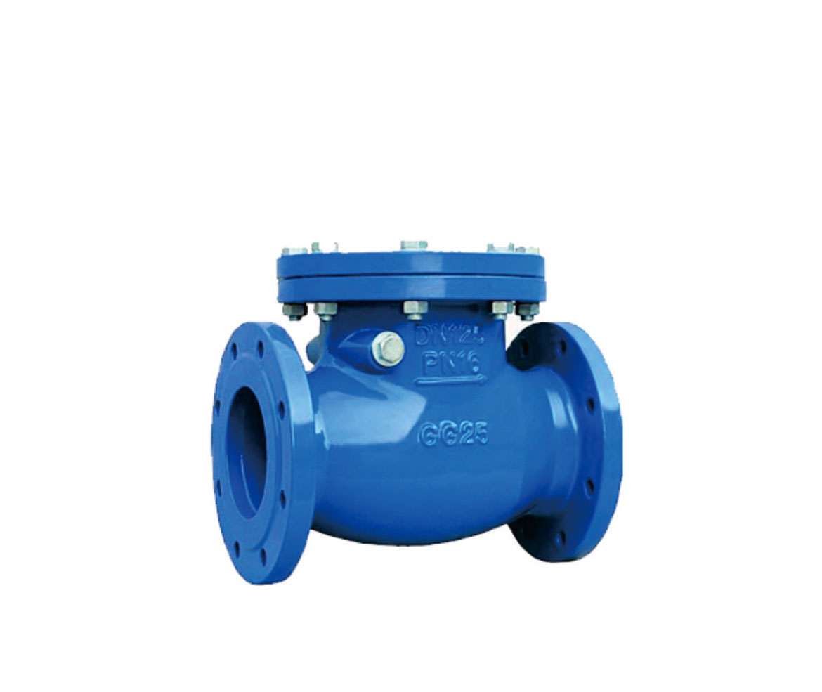 Check Valve